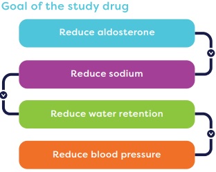 Halo Study Hypertension